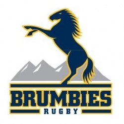 Brumbies