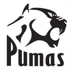 Pumas