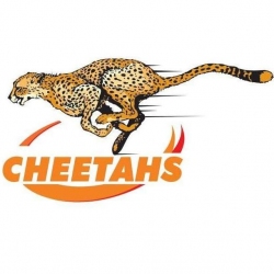 Cheetahs